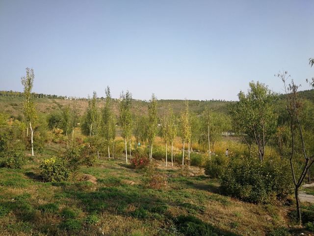 哈拉沁吉沙公园旅行图片 5
