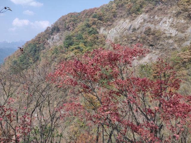 马鬃岭景区旅行图片 6