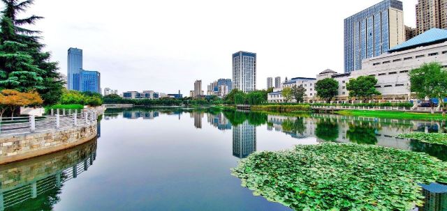 后襄河公园旅行图片 1