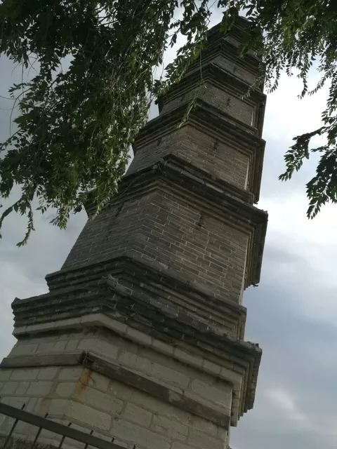 崛围山旅行图片 8
