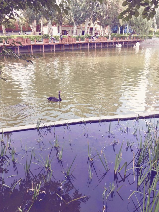 人民公园旅行图片 3