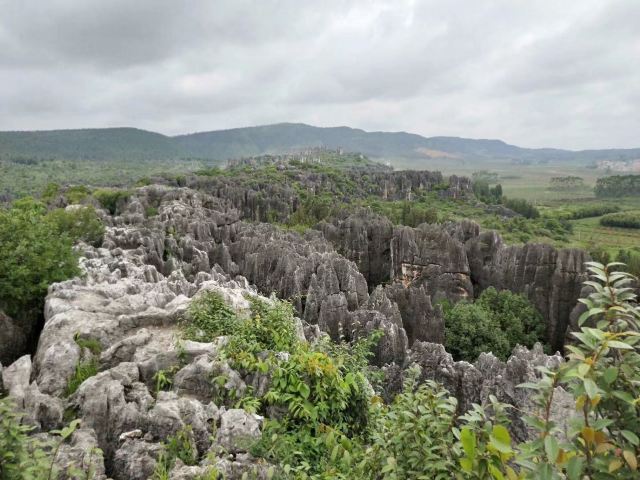 乃古石林风景区旅行图片 7