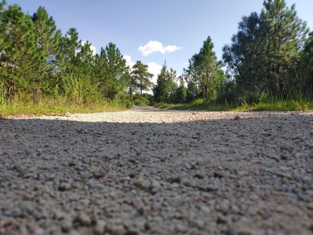 蛇山公园旅行图片 3