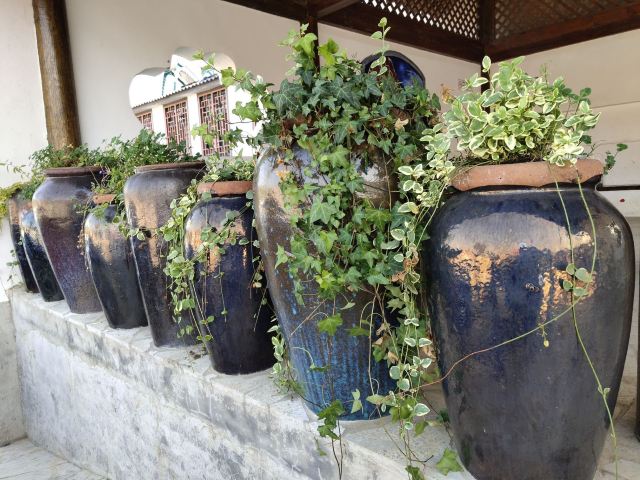 佘村明清代建筑群旅行图片 10