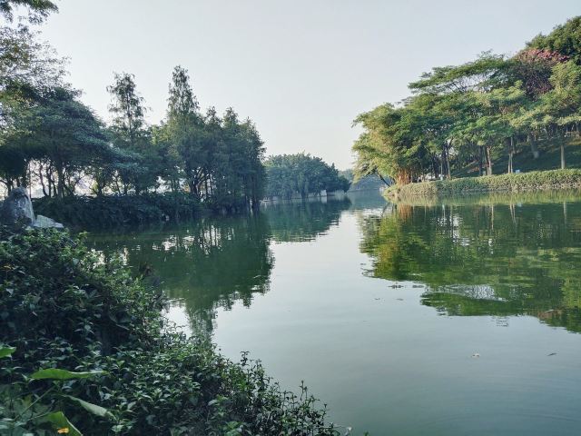 北滘公园旅行图片 1