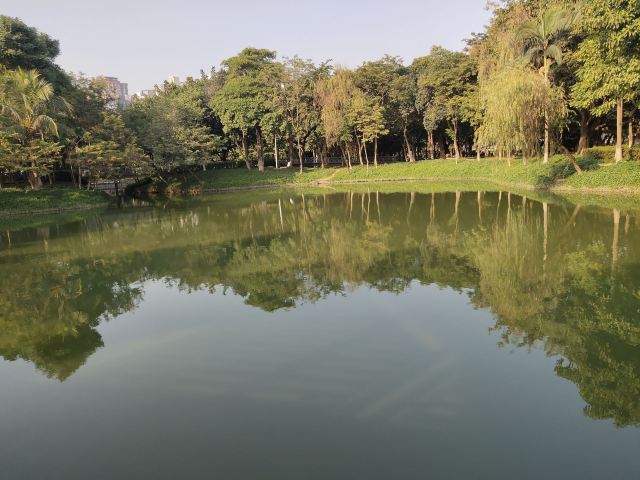 北滘公园旅行图片 9