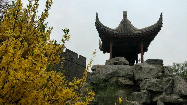 宣化人民公园旅行图片 1