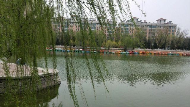 宣化人民公园旅行图片 9