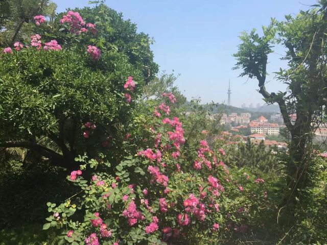 青岛崂山绿石博物馆旅行图片 3