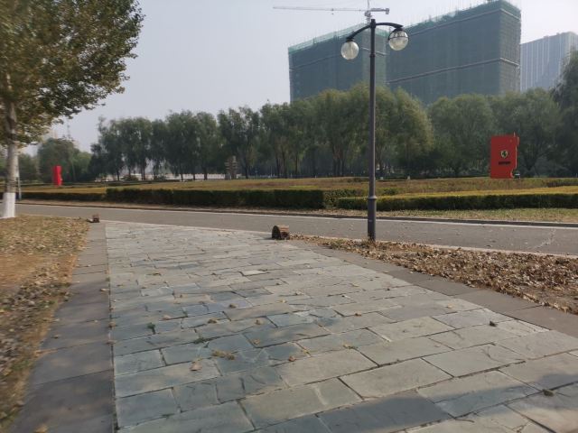 长春国际汽车公园旅行图片 2