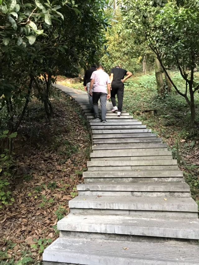 南岭植物园旅行图片 2