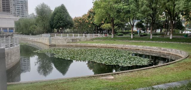 后襄河公园旅行图片 6
