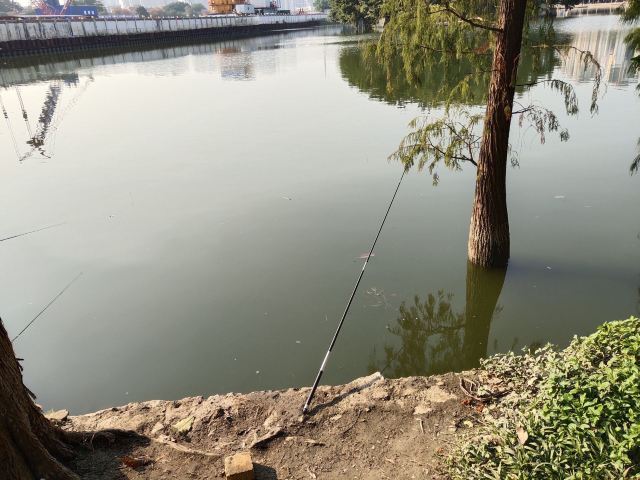 北滘公园旅行图片 12