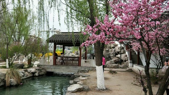 宣化人民公园旅行图片 4