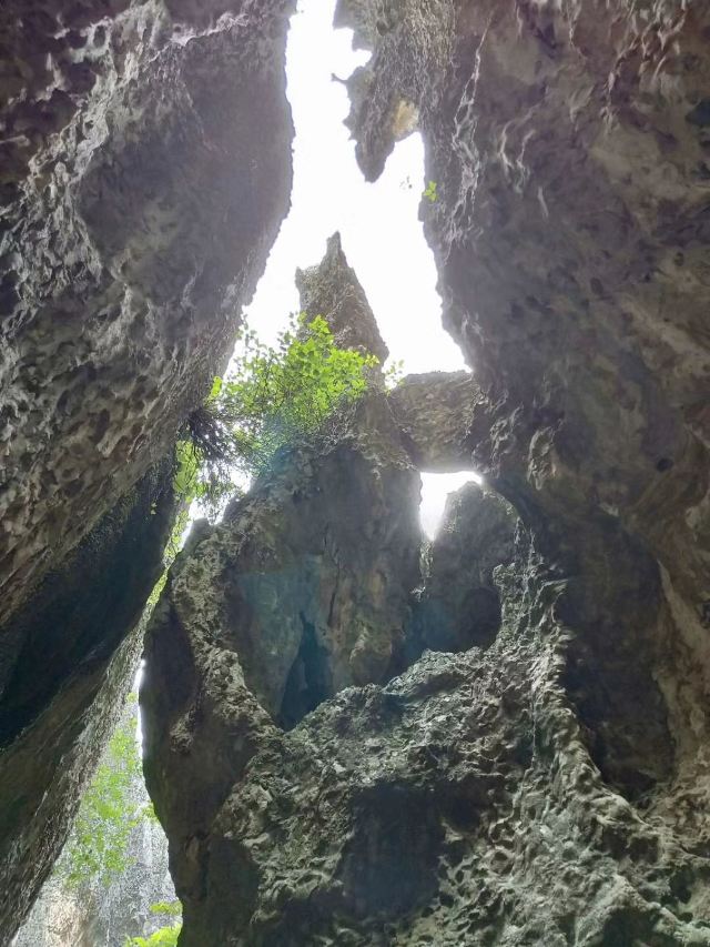 乃古石林风景区旅行图片 5