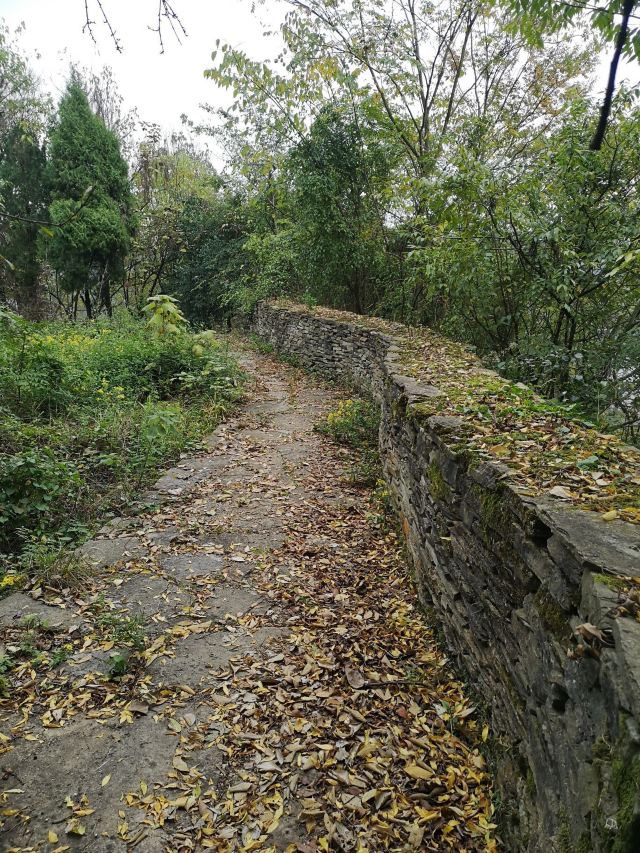 镇山村-千年古井旅行图片 8