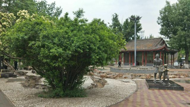宣化人民公园旅行图片 5