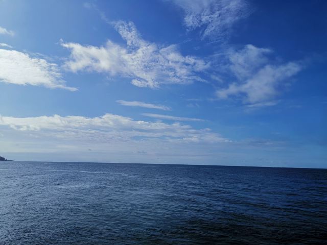 赶海一号旅行图片 2