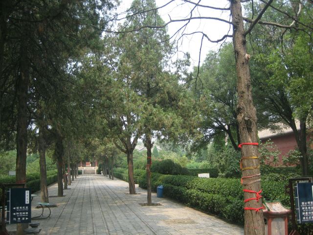 司马温公祠旅行图片 5