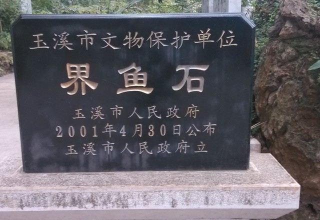 界鱼石公园旅行图片 2