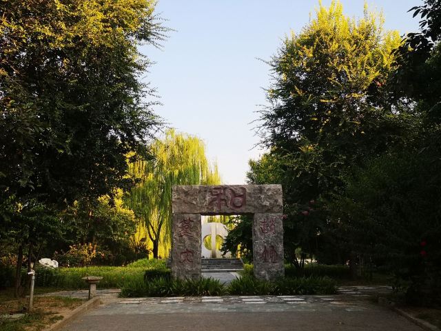 花博会主题公园旅行图片 5