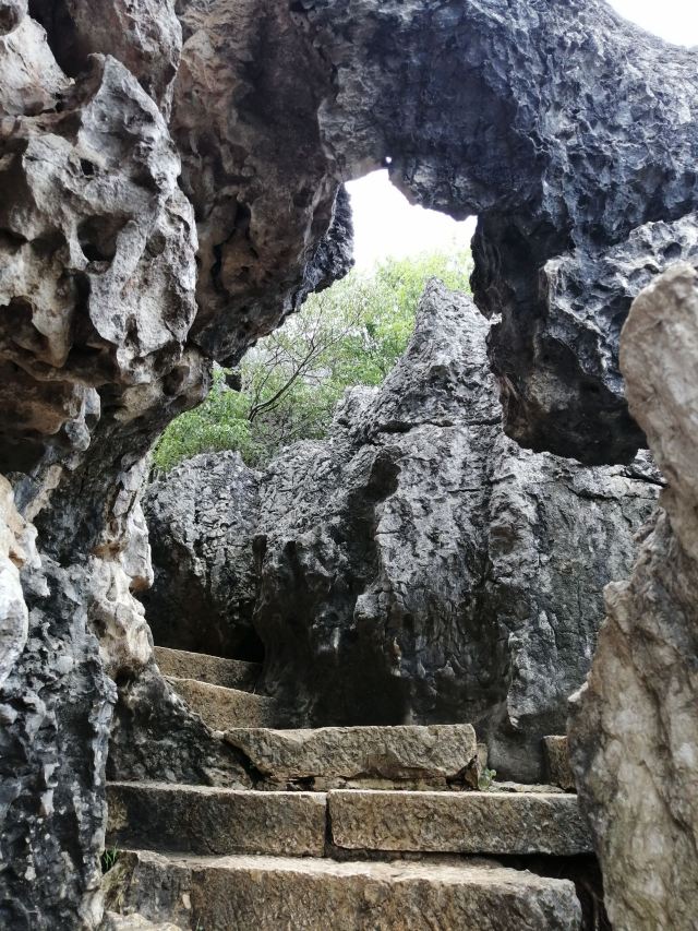 乃古石林风景区旅行图片 2