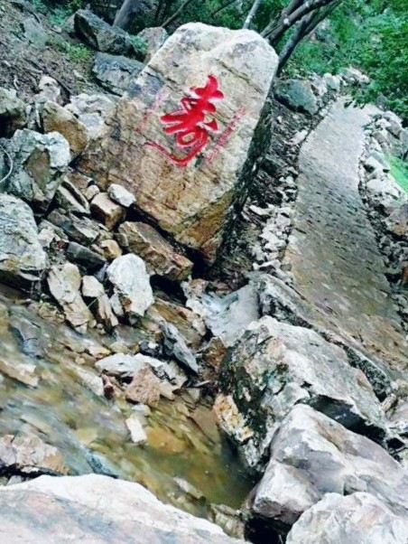 核伙沟森林公园旅行图片 1