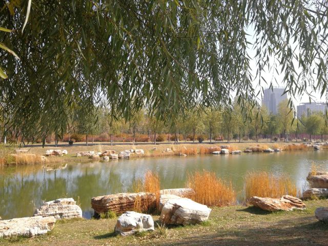 草原丝绸之路文化主题公园旅行图片 2