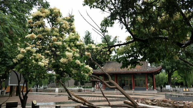 宣化人民公园旅行图片 8