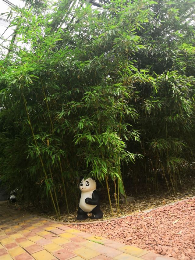 森淼生态旅游区旅行图片 2
