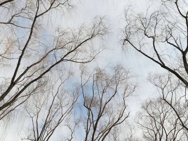 兴隆公园旅行图片 1