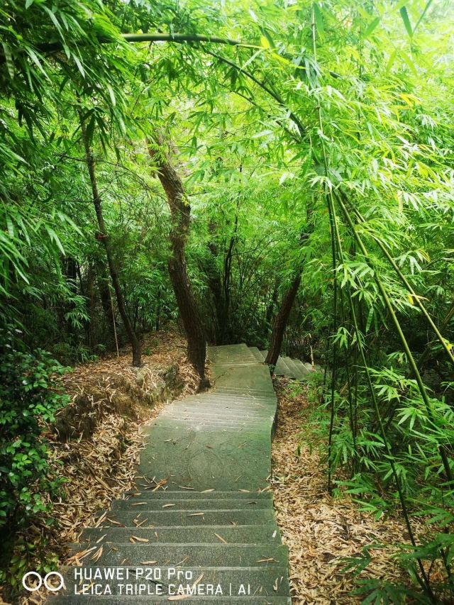 檀香山公园旅行图片 3