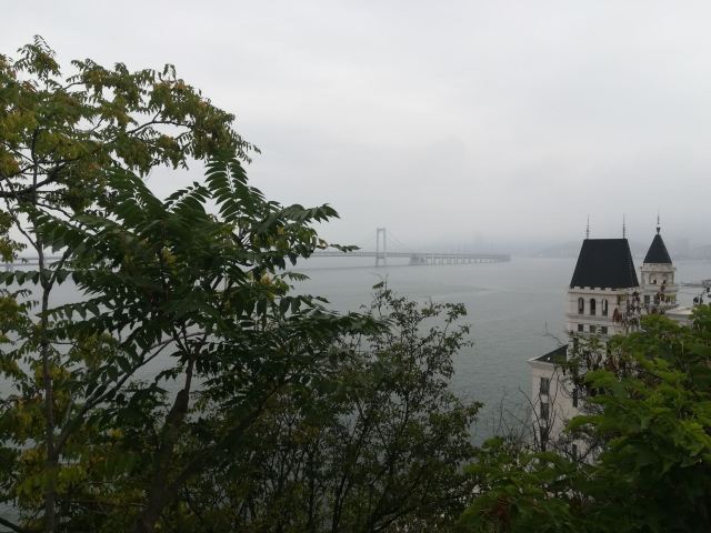 滨海路西段木栈道旅行图片 4