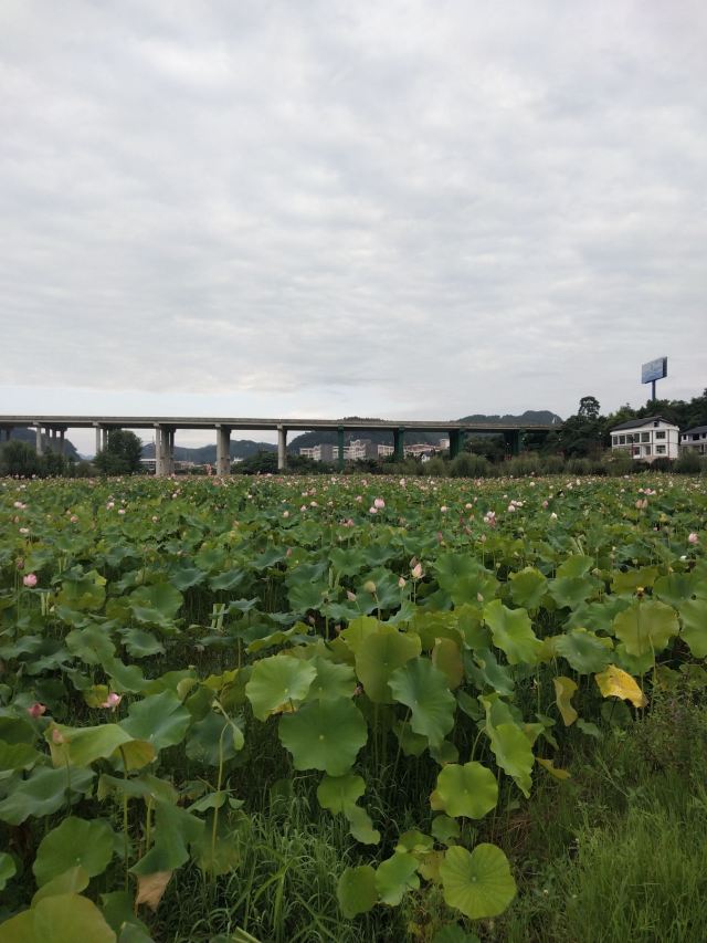 神泉谷景区旅行图片 2