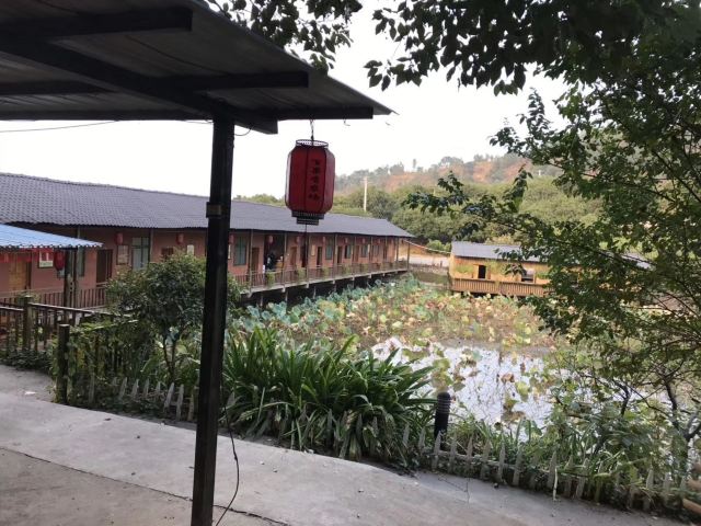 南岭植物园旅行图片 8