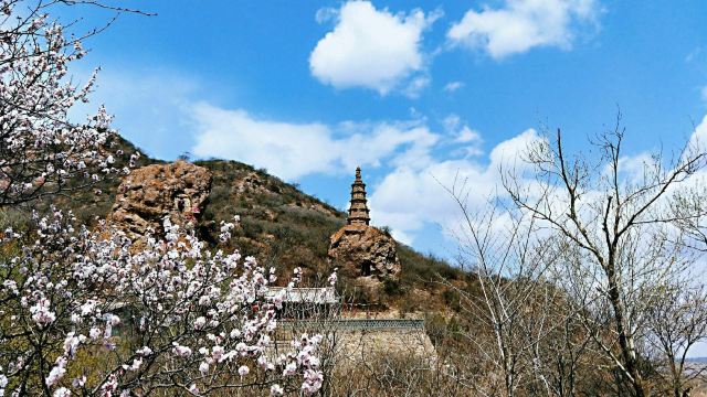 柏林寺旅行图片 1