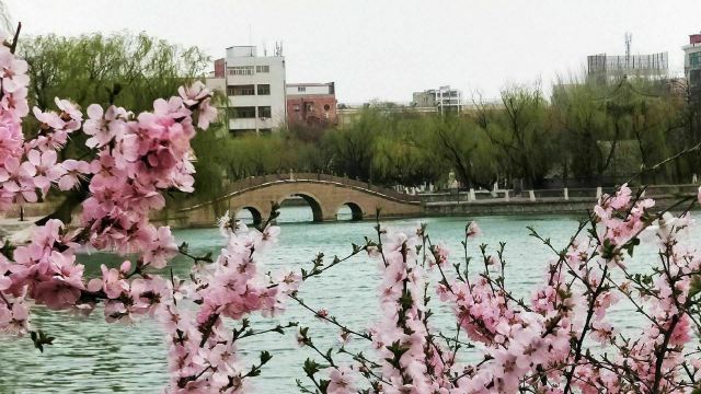 宣化人民公园旅行图片 10