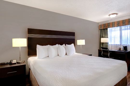 威农戴斯酒店-官方