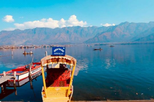 黃金山鷺豪斯船