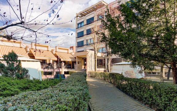 阿拉德中心贝斯特韦斯特酒店-官方