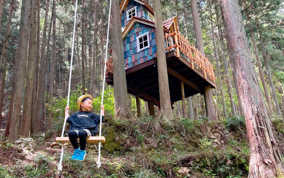Mieux forest