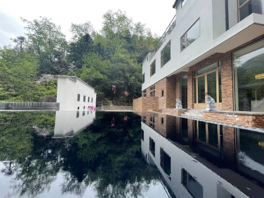 Hangzhou Book and Tea Homestay