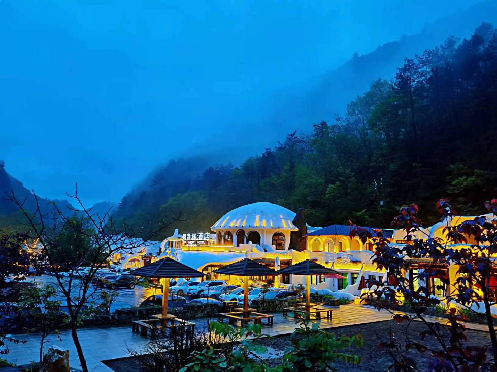 熊猫森林酒店-官方
