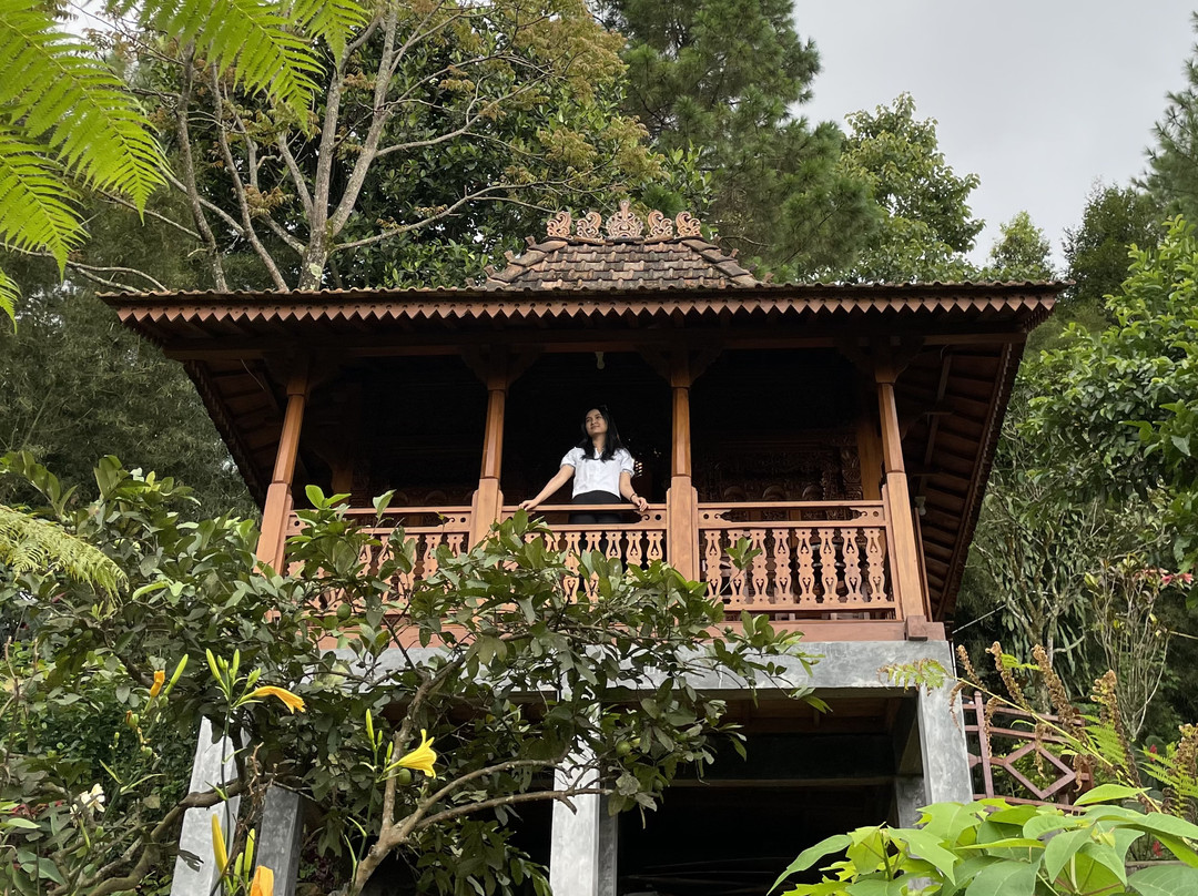 凯瑟琳营地旅馆