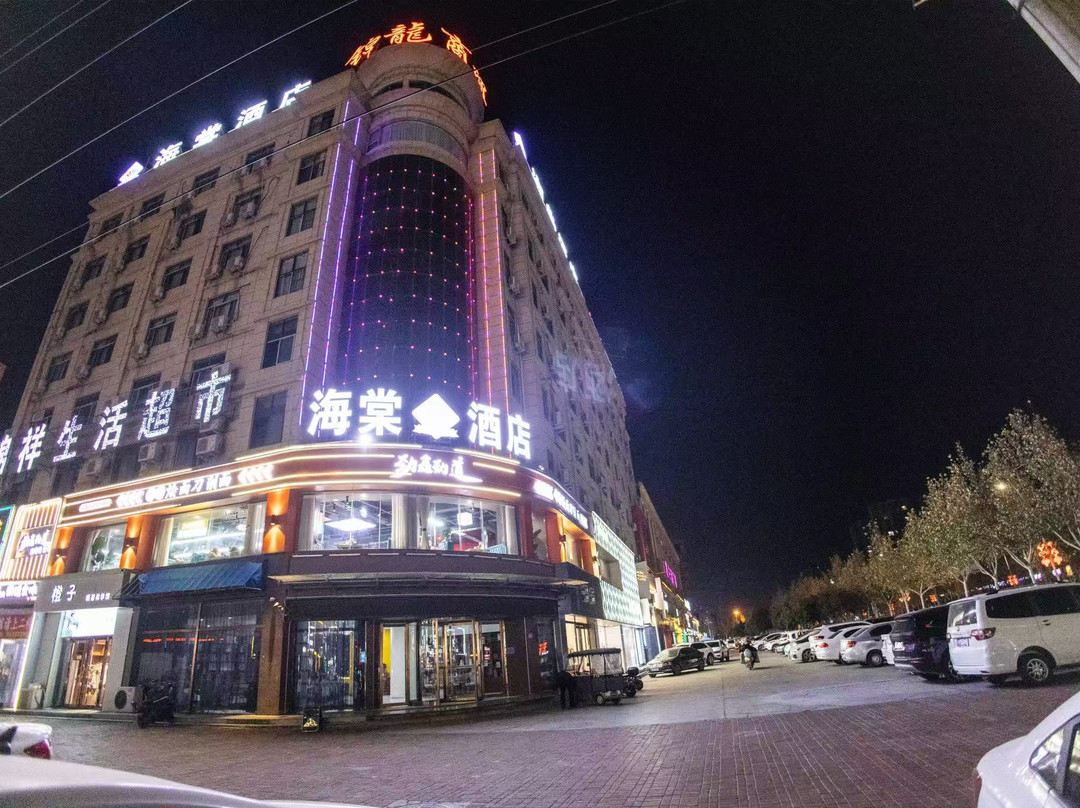 海棠酒店（内黄公园实验中学店）
