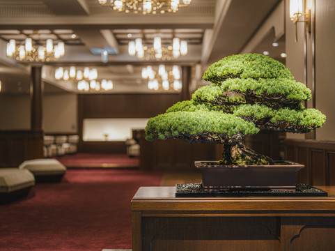 城崎温泉 深山 -Shinzan-