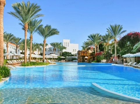 南西奈酒店住宿-沙姆沙伊赫巴伦棕榈成人度假酒店