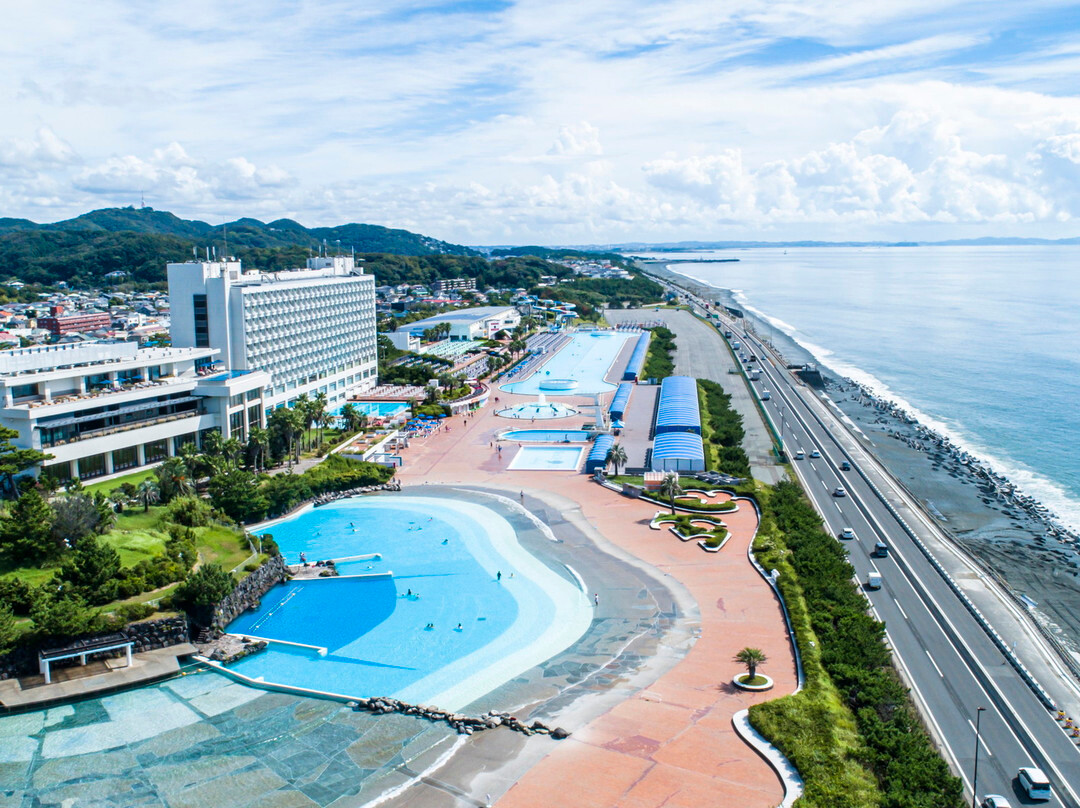 大矶王子大酒店主图