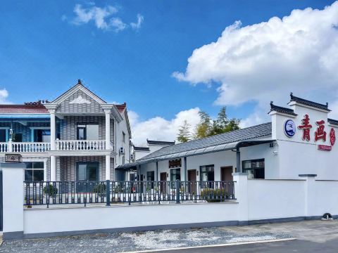 青畫民宿（青陽九華山九子岩景區店）