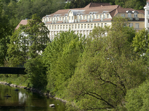 Hufingen酒店住宿-多瑙艾辛根温德姆花园酒店